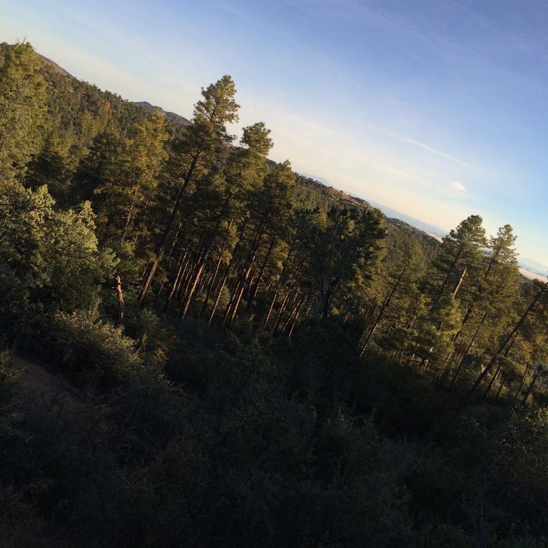 Apple Creek Cottages Prescott Ngoại thất bức ảnh